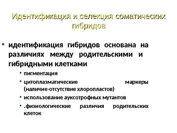 Идентификация и селекция соматических гибридов • идентификация гибридов основана на различиях между родительскими и