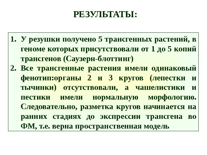 1. У резушки получено 5 трансгенных растений, в геноме которых присутствовали от 1 до