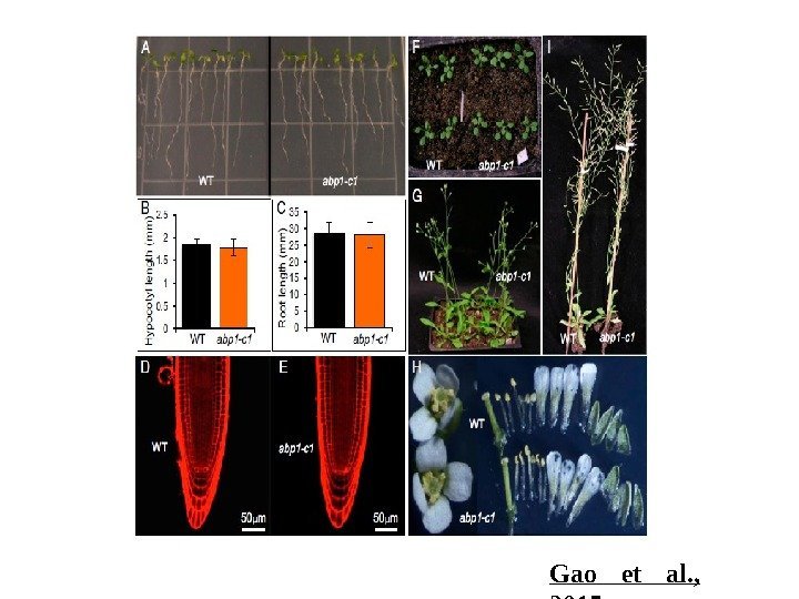 Gao et al. ,  201 5 