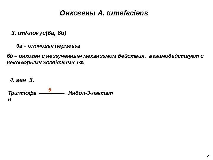 Онкогены A. tumefaciens 73. tml- локус (6 a, 6 b)  6 a –
