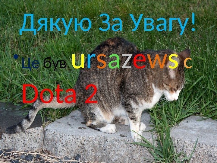 Дякую За Увагу! • Це був u r s a z e w s