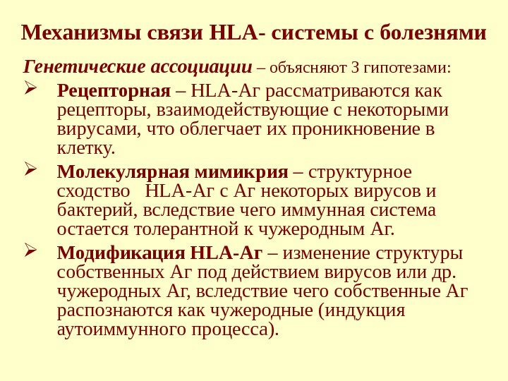 Механизмы связи HLA - системы с болезнями Генетические ассоциации – объясняют 3 гипотезами: 