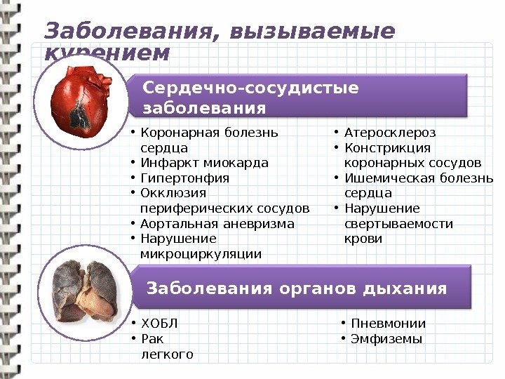 Сердечно-сосудистые заболевания Заболевания органов дыхания. Заболевания, вызываемые курением • Коронарная болезнь сердца • Инфаркт