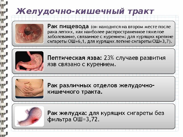 Желудочно-кишечный тракт 