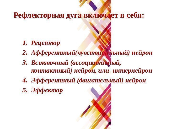 Рефлекторная дуга включает в себя: 1. Рецептор 2. Афферентный(чувствительный) нейрон 3. Вставочный (ассоциативный, 