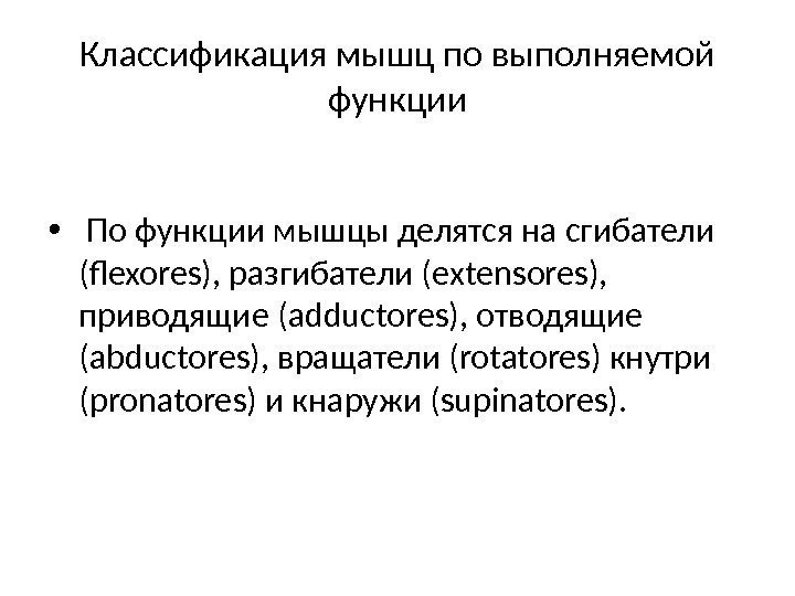 Классификация мышц по выполняемой функции •  По функции мышцы делятся на сгибатели (flexores),