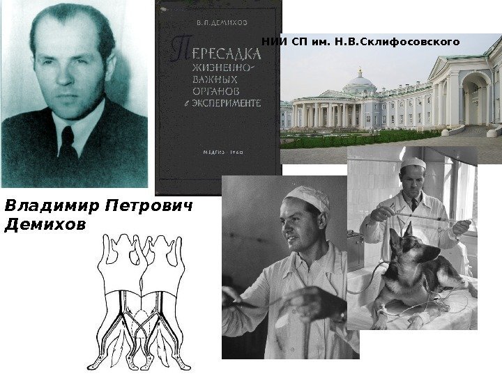   1940 -60 -е годы,  СССР Владимир Петрович Демихов НИИ СП им.