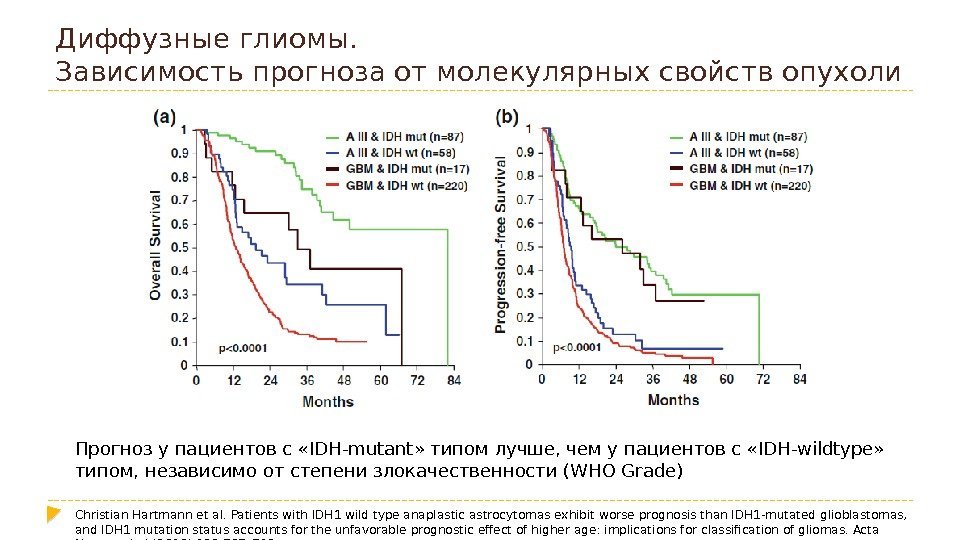 Диффузные глиомы.  Зависимость прогноза от молекулярных свойств опухоли Прогноз у пациентов с «IDH-mutant»