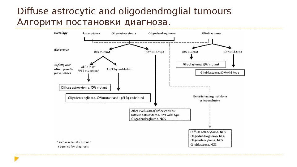 Diffuse astrocytic and oligodendroglial tumours Алгоритм постановки диагноза.  