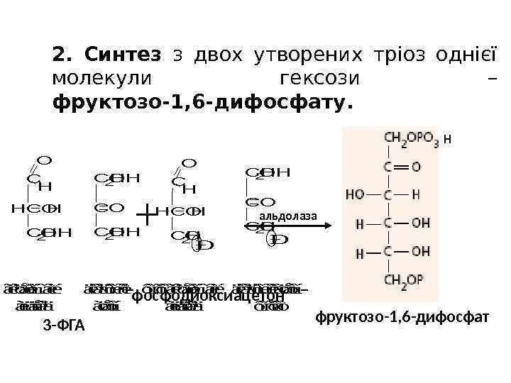 2.  Синтез  з двох утворених тріоз однієї молекули гексози – фруктозо-1, 6