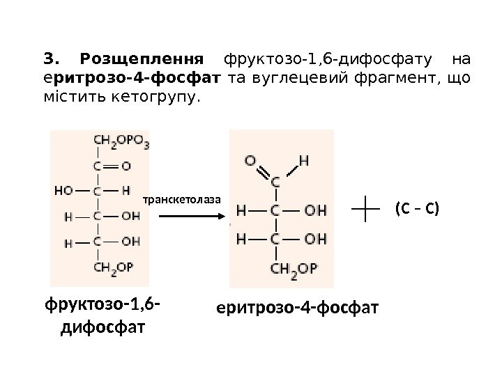 3.  Розщеплення  фруктозо-1, 6 -дифосфату на е ритрозо-4 -фосфат  та вуглецевий