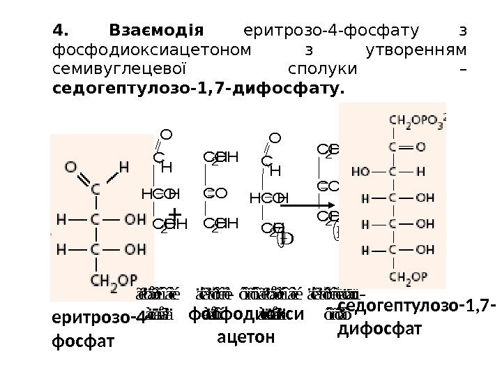 4.  Взаємодія  еритрозо-4 -фосфату з фосфодиоксиацетоном з утворенням семивуглецевої сполуки – седогептулозо-1,