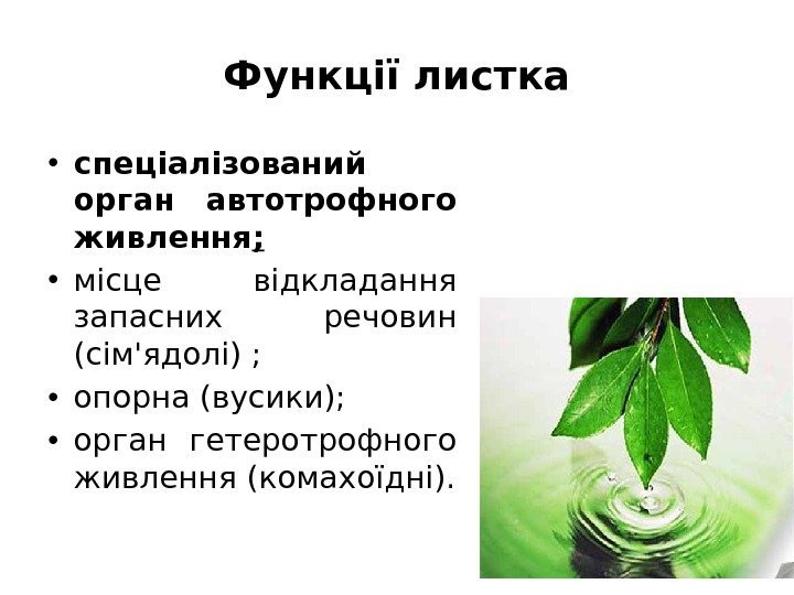 Функції листка • спеціалізований орган автотрофного живлення ;  • місце відкладання запасних речовин