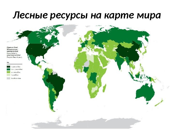 Лесные ресурсы на карте мира 