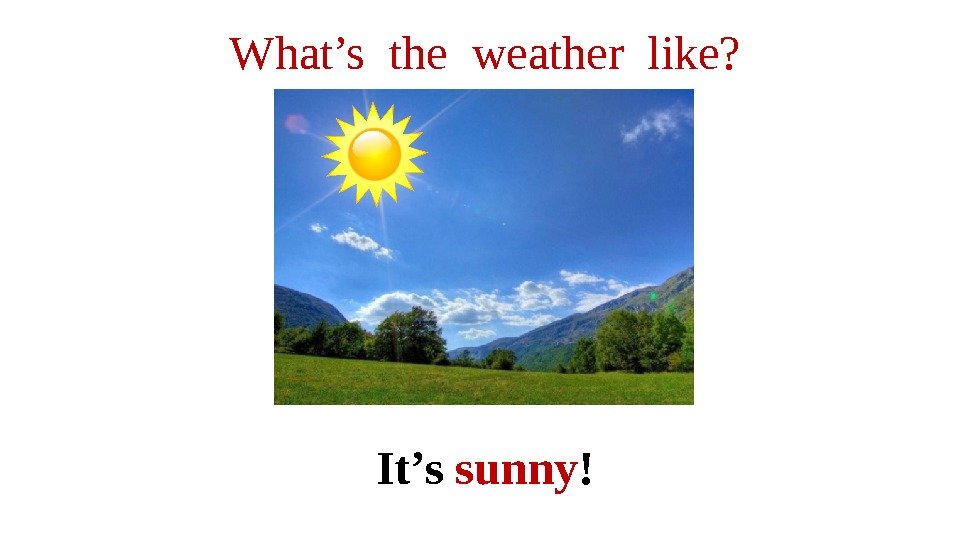 What’s the weather like? It’s sunny ! 