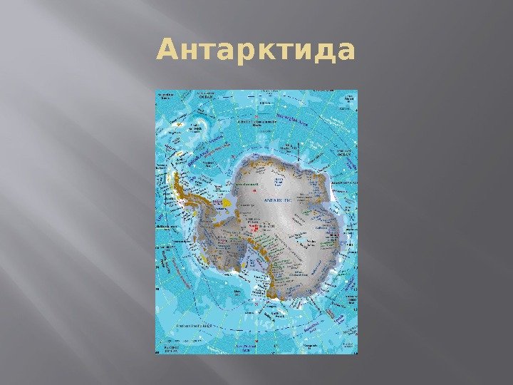 Антарктида 