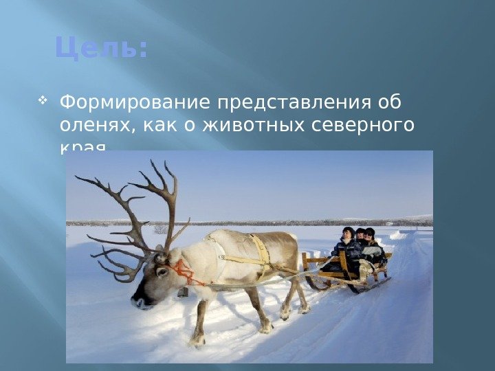 Цель:  Формирование представления об оленях, как о животных северного края 