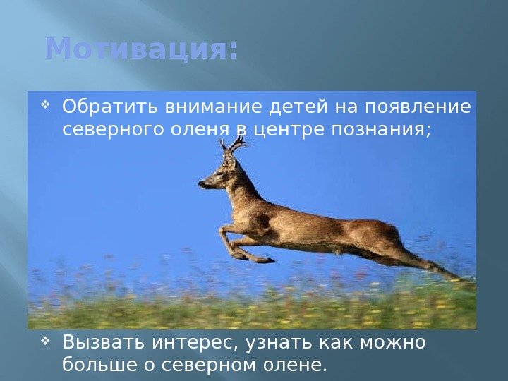 Мотивация:  Обратить внимание детей на появление северного оленя в центре познания;  Вызвать