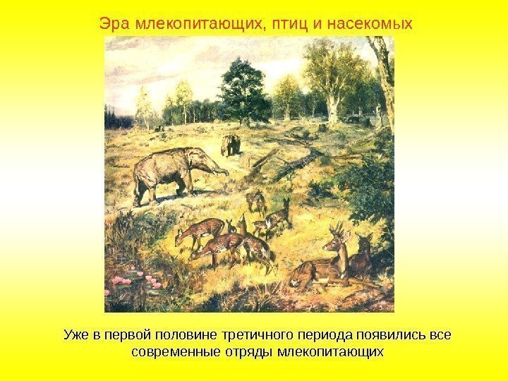 Эра млекопитающих, птиц и насекомых Уже в первой половине третичного периода появились все современные