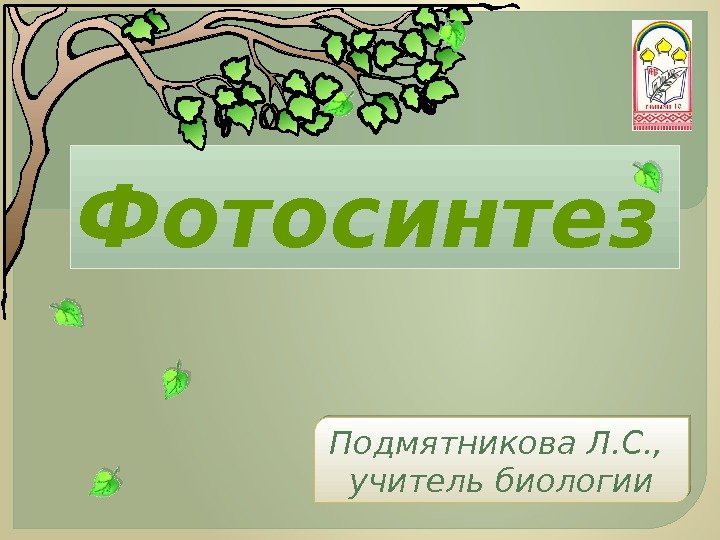Фотосинтез Подмятникова Л. С. ,  учитель биологии  01 11 