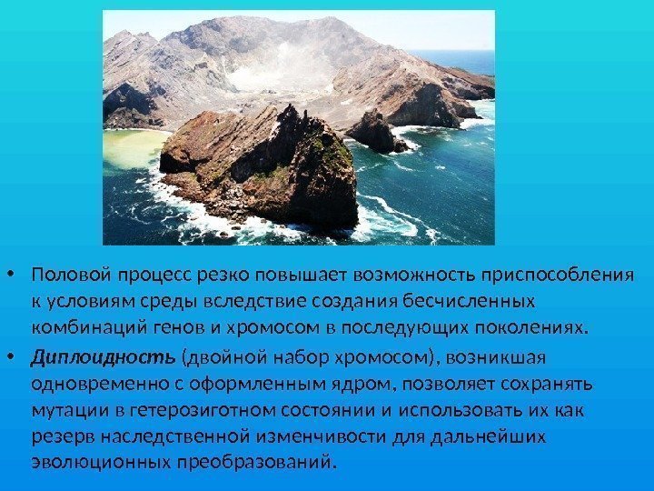  • Половой процесс резко повышает возможность приспособления к условиям среды вследствие создания бесчисленных