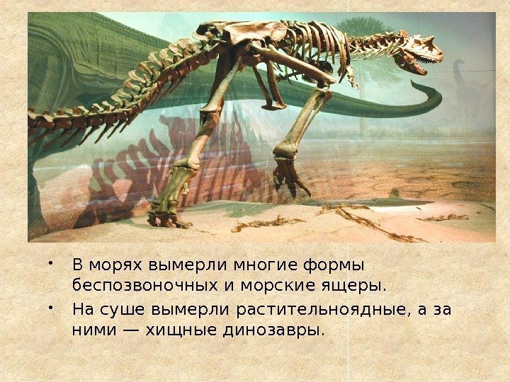  В морях вымерли многие формы беспозвоночных и морские ящеры.  На суше вымерли