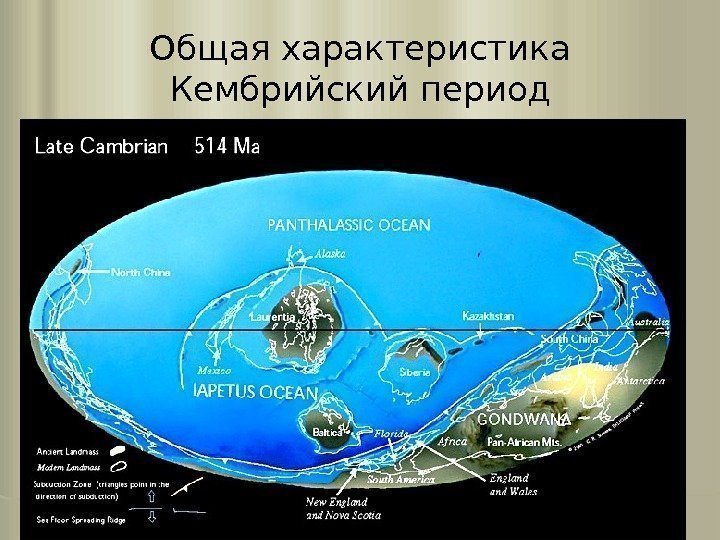 Общая характеристика Кембрийский период 