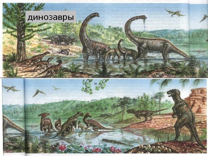 динозавры 