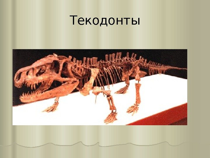 Текодонты 