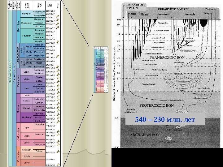 540 – 230 млн. лет 