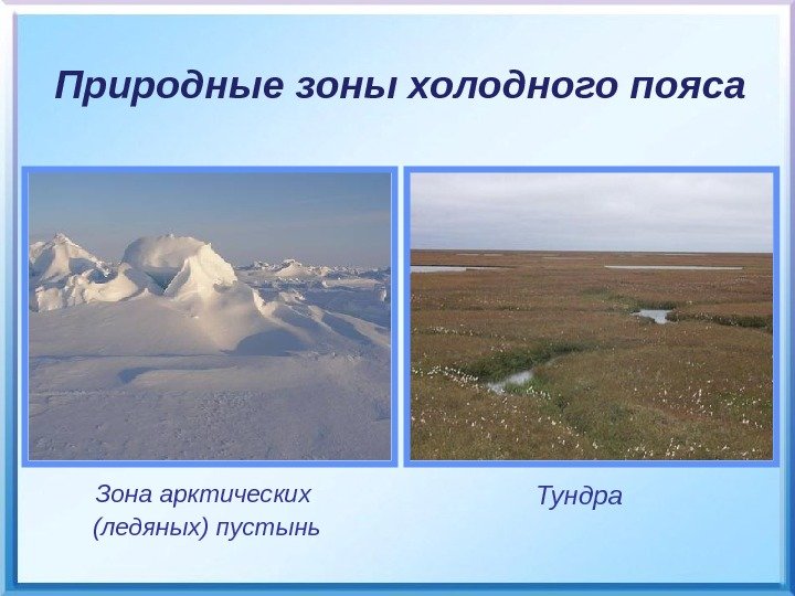   Зона арктических  (ледяных) пустынь Тундра. Природные зоны холодного пояса 