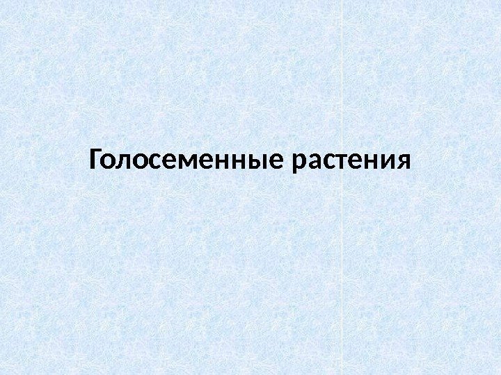 Голосеменные растения 