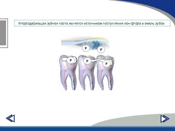 Фторсодержащая зубная паста является источником поступления ион-фтора в эмаль зубов  F FFF F