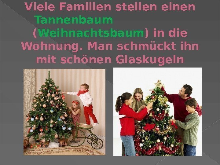 Viele Familien stellen einen Tannenbaum     ( Weihnachtsbaum ) in die
