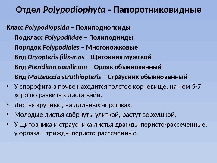 Отдел Polypodiophyta - Папоротниковидные Класс Polypodiopsida – Полиподиопсиды Подкласс Polypodiidae – Полиподииды Порядок Polypodiales