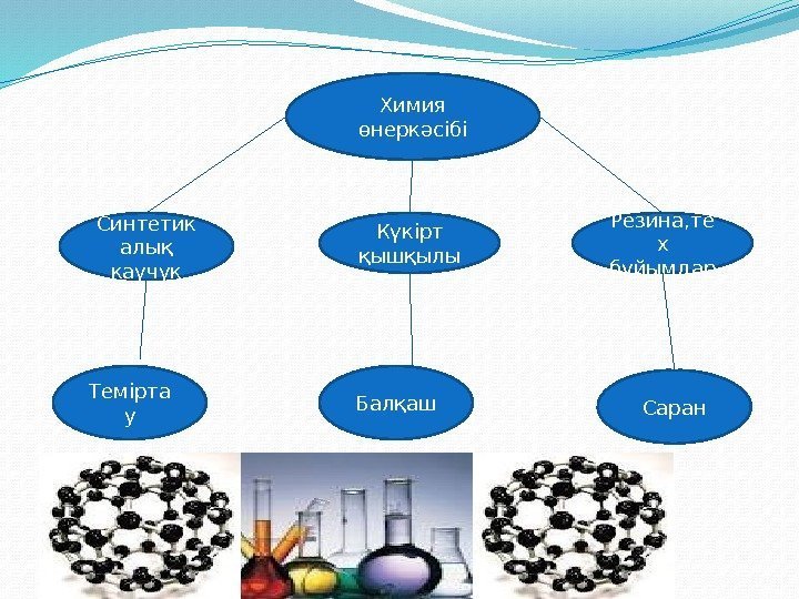 Химия өнеркәсібі Синтетик алық каучук Күкірт қышқылы Резина, те х бұйымдар Темірта у Балқаш