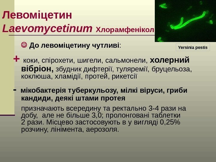 Левоміцетин Laevomycetinum  Хлорамфенікол  До левоміцетину чутливі : +  коки, спірохети, шигели,