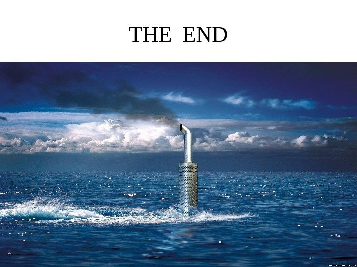 THE END 