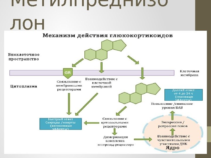 Метилпреднизо лон 