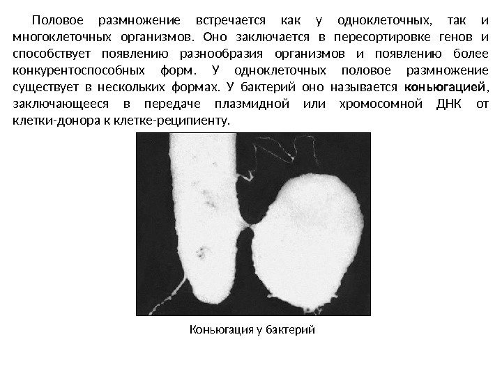 Половое размножение встречается как у одноклеточных,  так и многоклеточных организмов.  Оно заключается