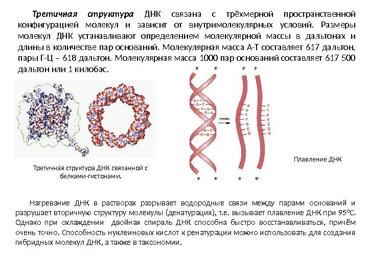 Третичная структура  ДНК связана с трёхмерной пространственной конфигурацией молекул и зависит от внутримолекулярных