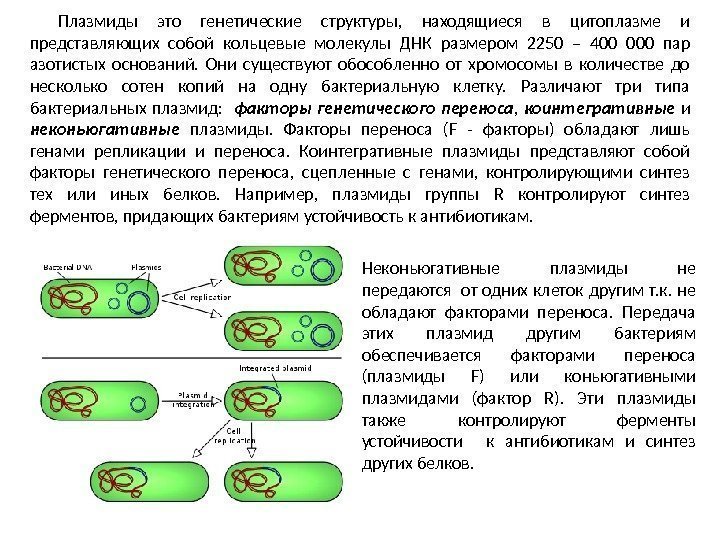 Плазмиды это генетические структуры,  находящиеся в цитоплазме и представляющих собой кольцевые молекулы ДНК