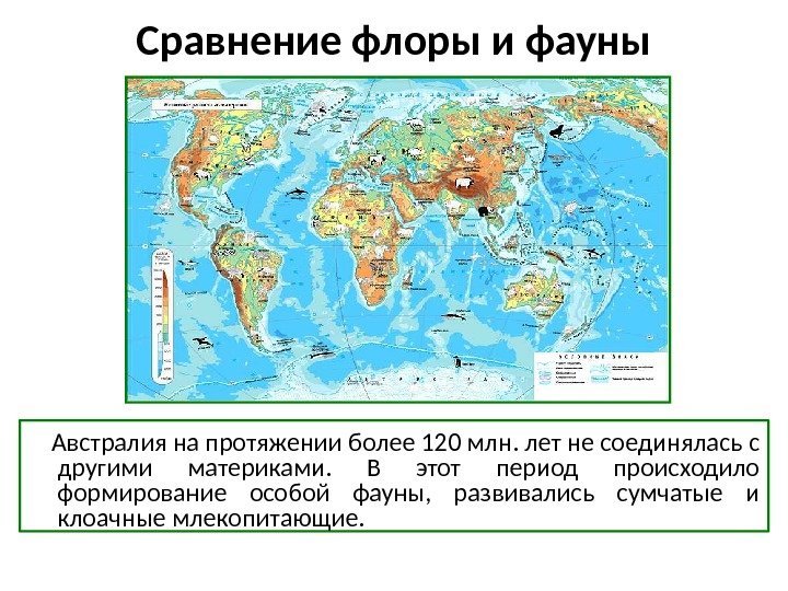 Сравнение флоры и фауны Австралия на протяжении более 120 млн. лет не соединялась с