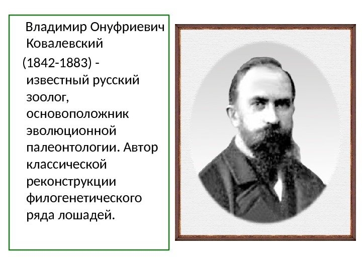  Владимир Онуфриевич Ковалевский (1842 -1883) - известный русский зоолог,  основоположник эволюционной палеонтологии.