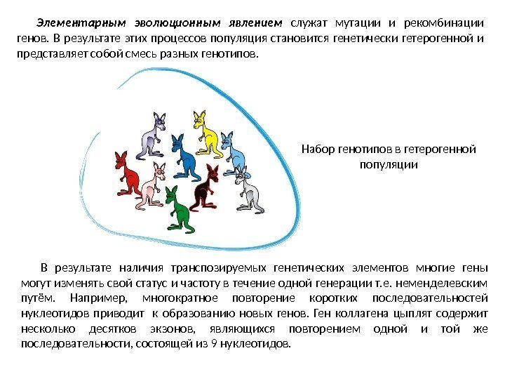 Элементарным эволюционным явлением служат мутации и рекомбинации генов.  В результате этих процессов популяция