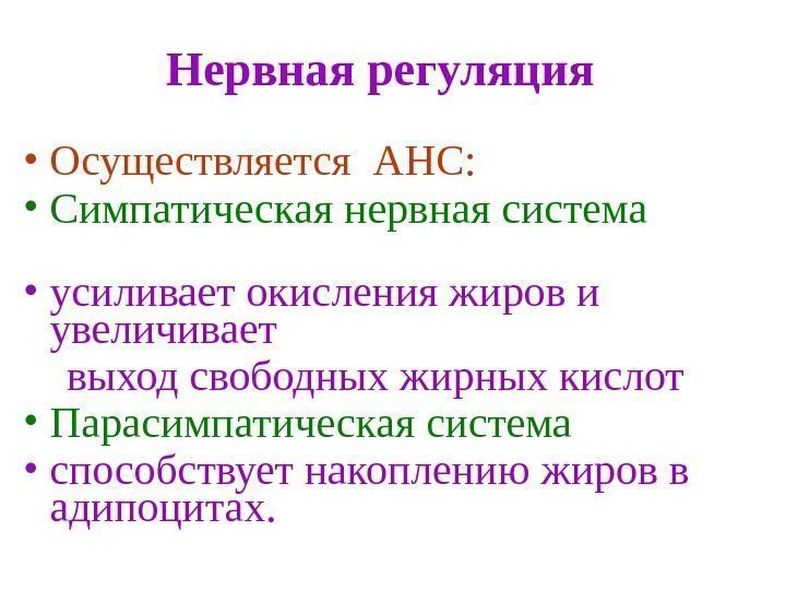   Нервная регуляция • Осуществляется АНС:  • Симпатическая нервная система  