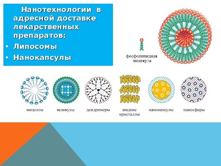    Нанотехнологии в адресной доставке лекарственных препаратов:  • Липосомы  •