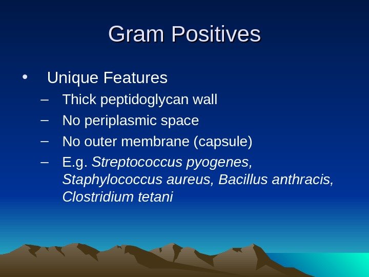 Gram Positives • Unique Features – Thick peptidoglycan wall – No periplasmic space –