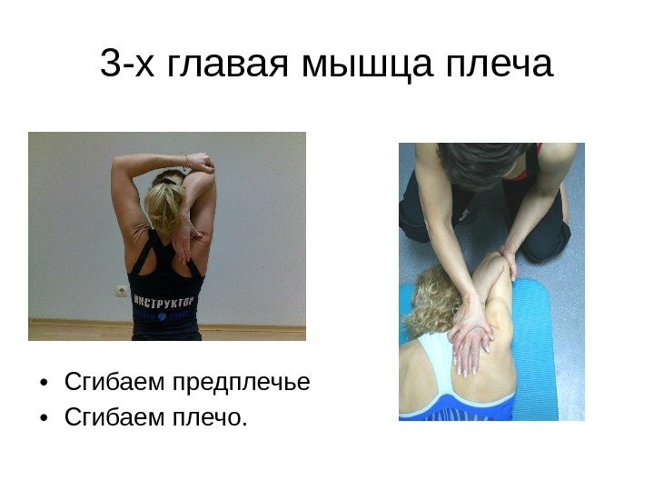 3 -х главая мышца плеча • Сгибаем предплечье • Сгибаем плечо. 