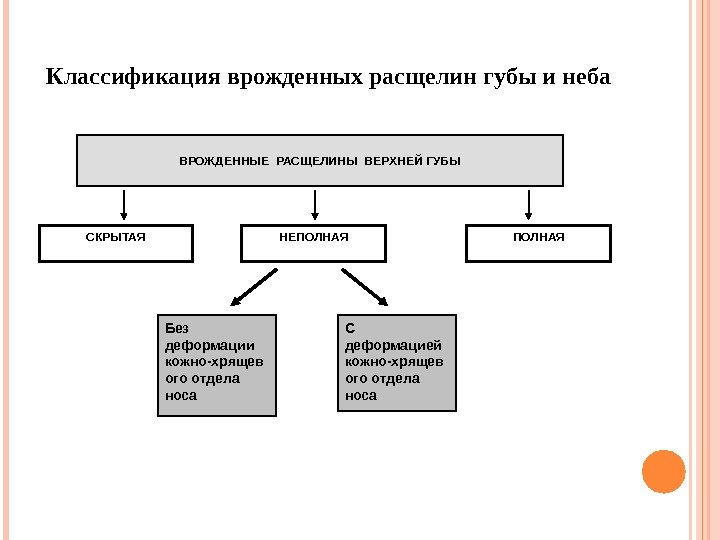 ВРОЖДЕННЫЕ РАСЩЕЛИНЫ ВЕРХНЕЙ ГУБЫ Без деформации кожно-хрящев ого отдела носа С деформацией  кожно-хрящев